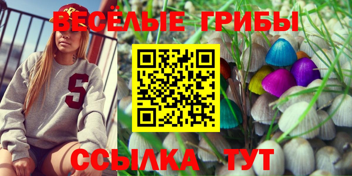 Псилоцибиновые грибы Psilocybe Долгопрудный
