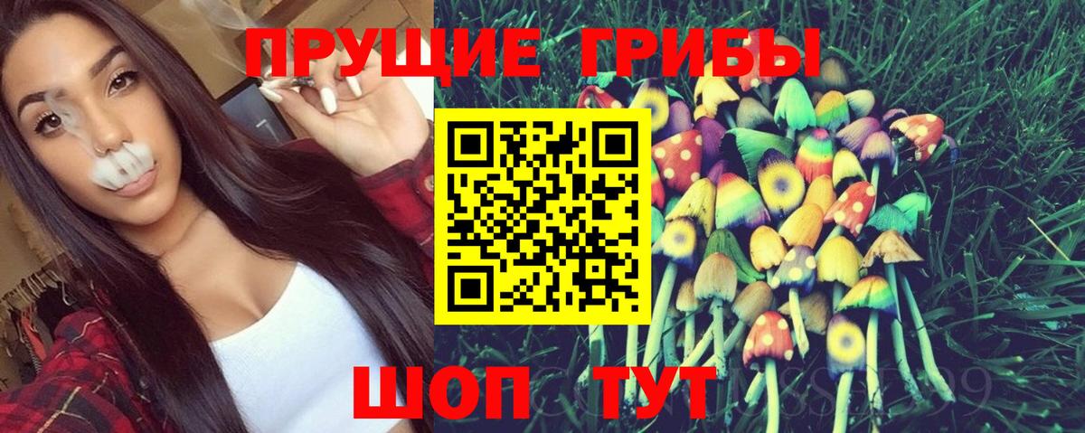 Долгопрудный  Псилоцибиновые грибы прущие грибы  Вход с VPN 
